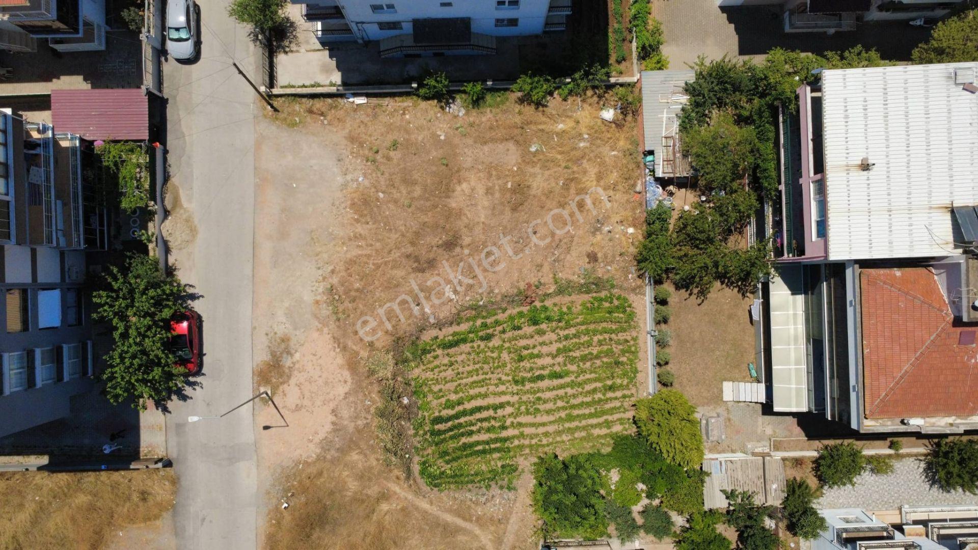İzmir Menderes'te Satılık 309m² Villa Ve Konut İmarlı Arsa - Görsel 5