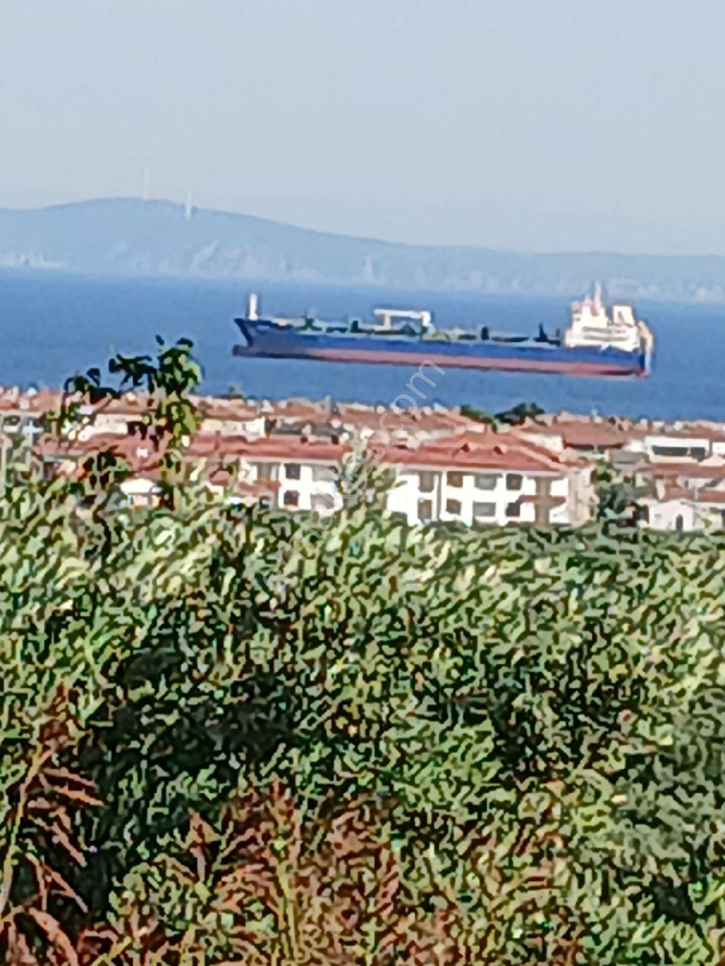 Avcı Gayrimenkulden Yatırımlık Zeytinlik - Görsel 14