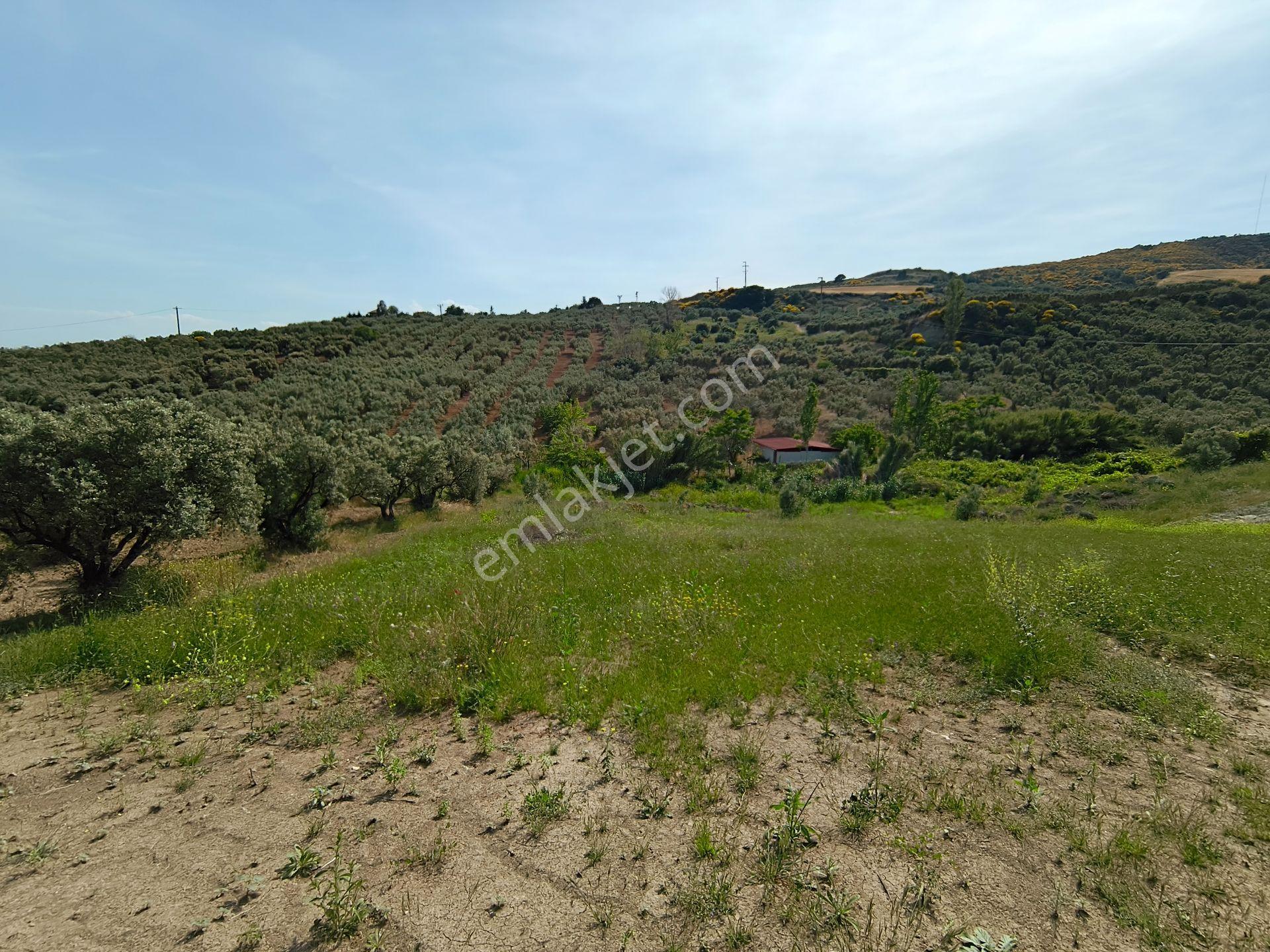 Bulut Yatırımdan 285 M² % 25 İmarlı Deniz Manzaralı Arsalar - Görsel 35