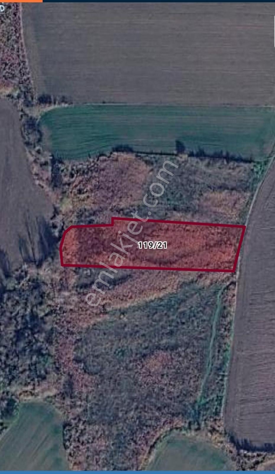 Edirne'de Uygun Fiyatlı 308 M2' Hisseli Tarla Fırsatı - Görsel 3
