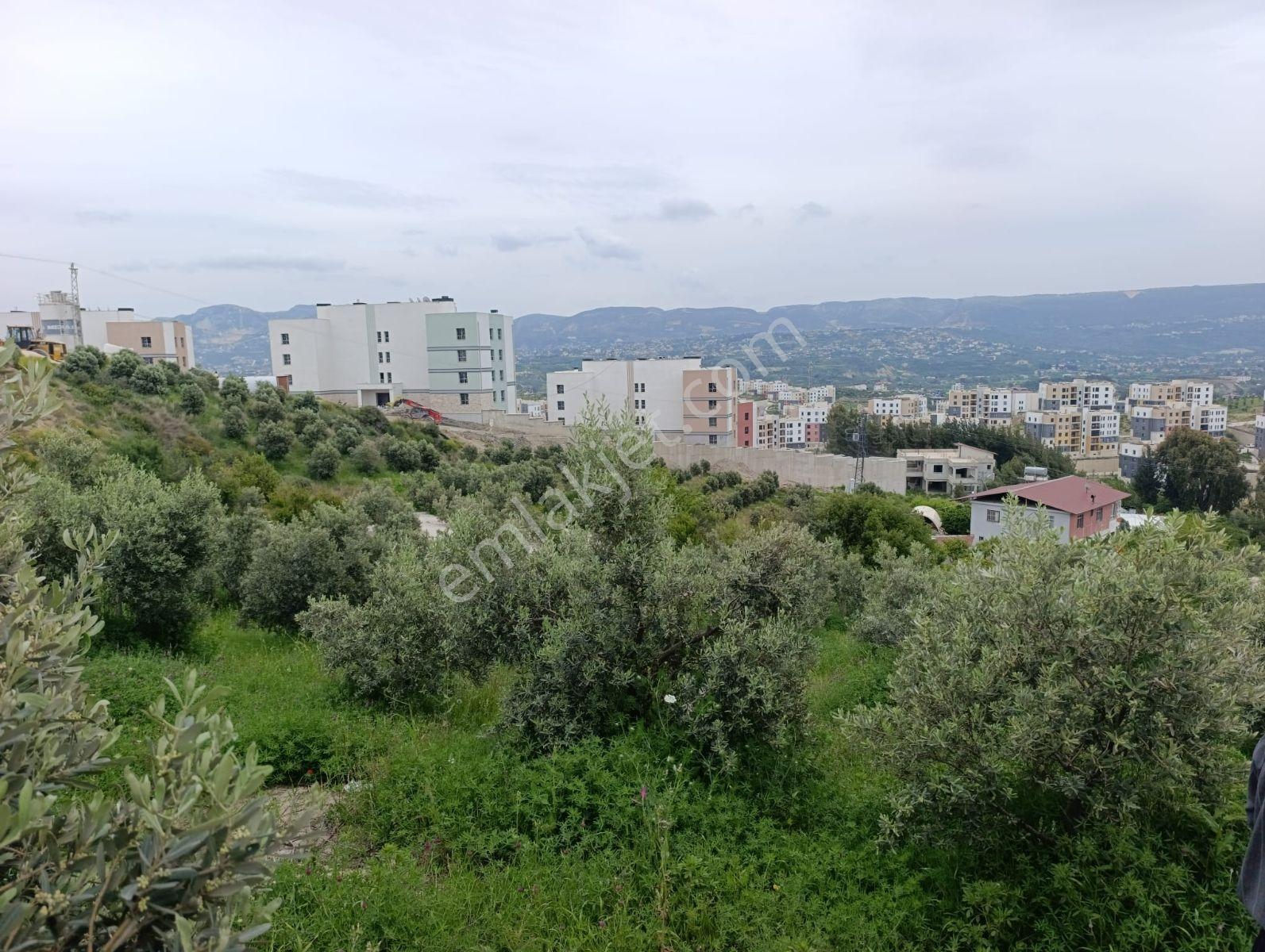 Hüseyinli Toki Bitişiğinde Satılık İmarlı Tarla - Görsel 2