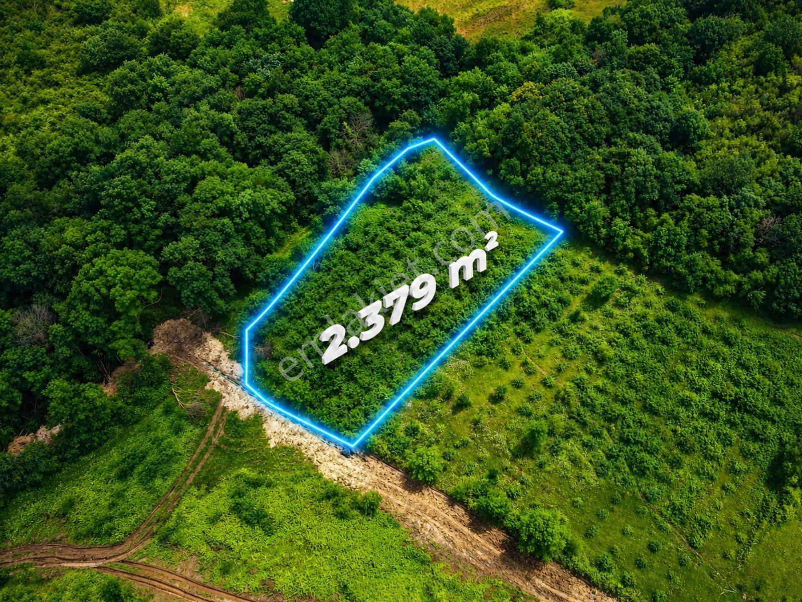 Kandıra Çamkonak'ta Satılık - Sahile 1,5 Km - 2.379 M² Tarla - Görsel 4