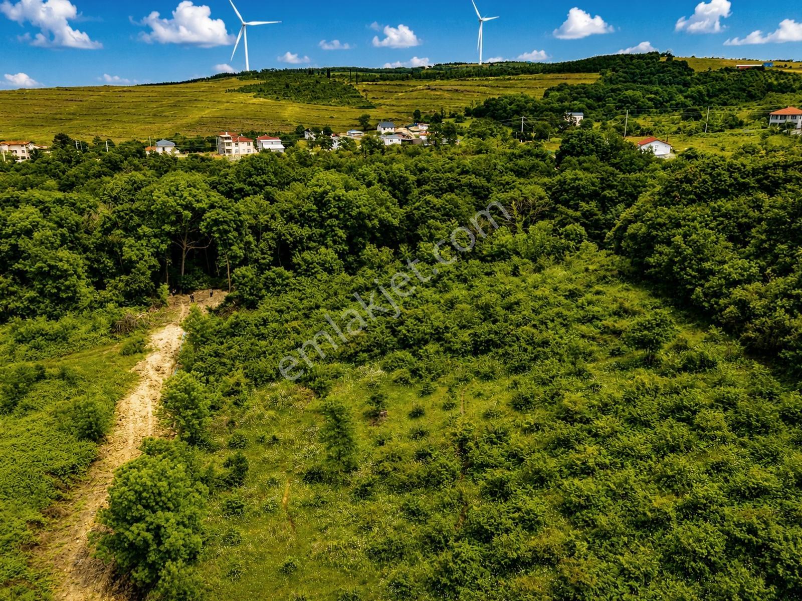 Kandıra Çamkonak'ta Satılık - Sahile 1,5 Km - 2.379 M² Tarla - Görsel 6