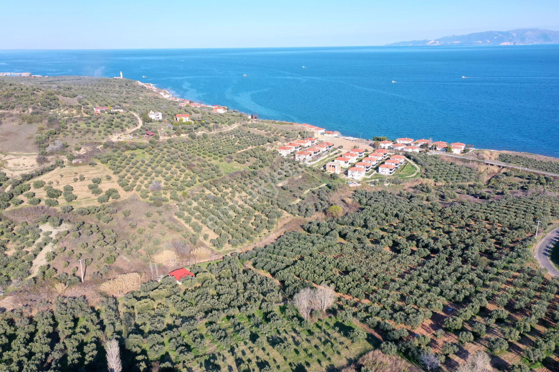 Bulut Yatırımdan 318 M² % 25 İmarlı Deniz Manzaralı Arsalar - Görsel 28