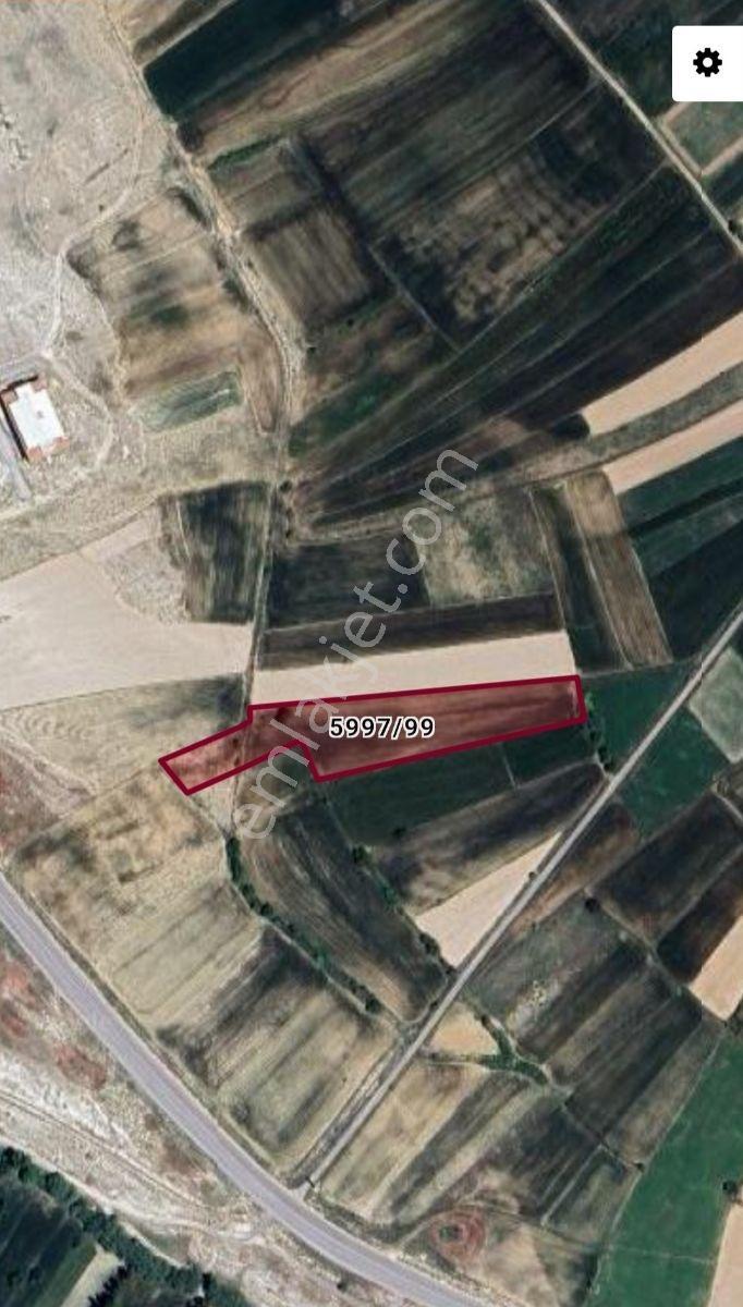 Asel'den 1.organize Sanayi Yolu Üzeri İmara Sınır 5.360 M2 Tarla - Görsel 3