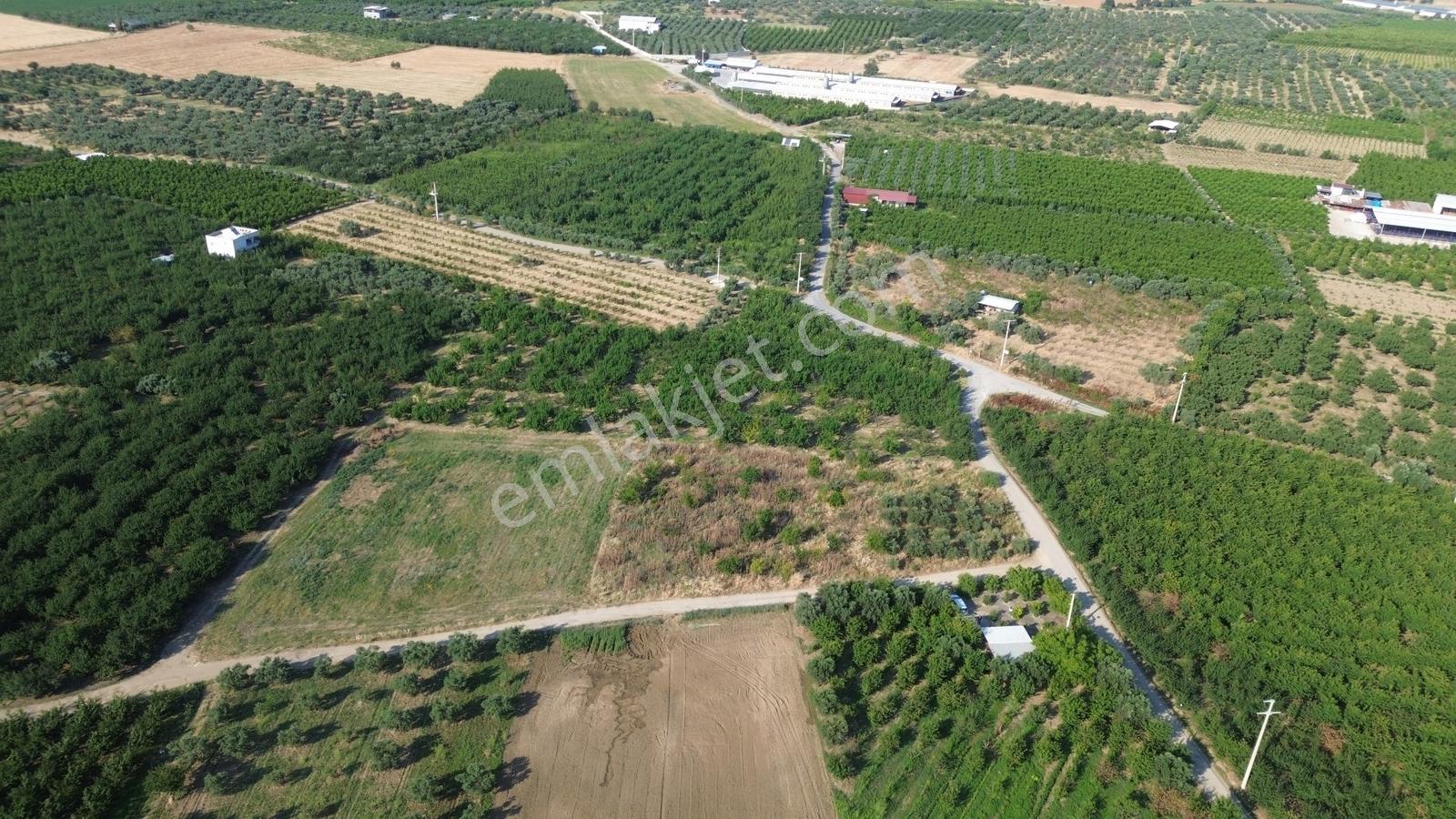 Erz'den Bağyurdun'da Yol Cepheli Tapulu Satılık Tarım Arazisi - Görsel 21