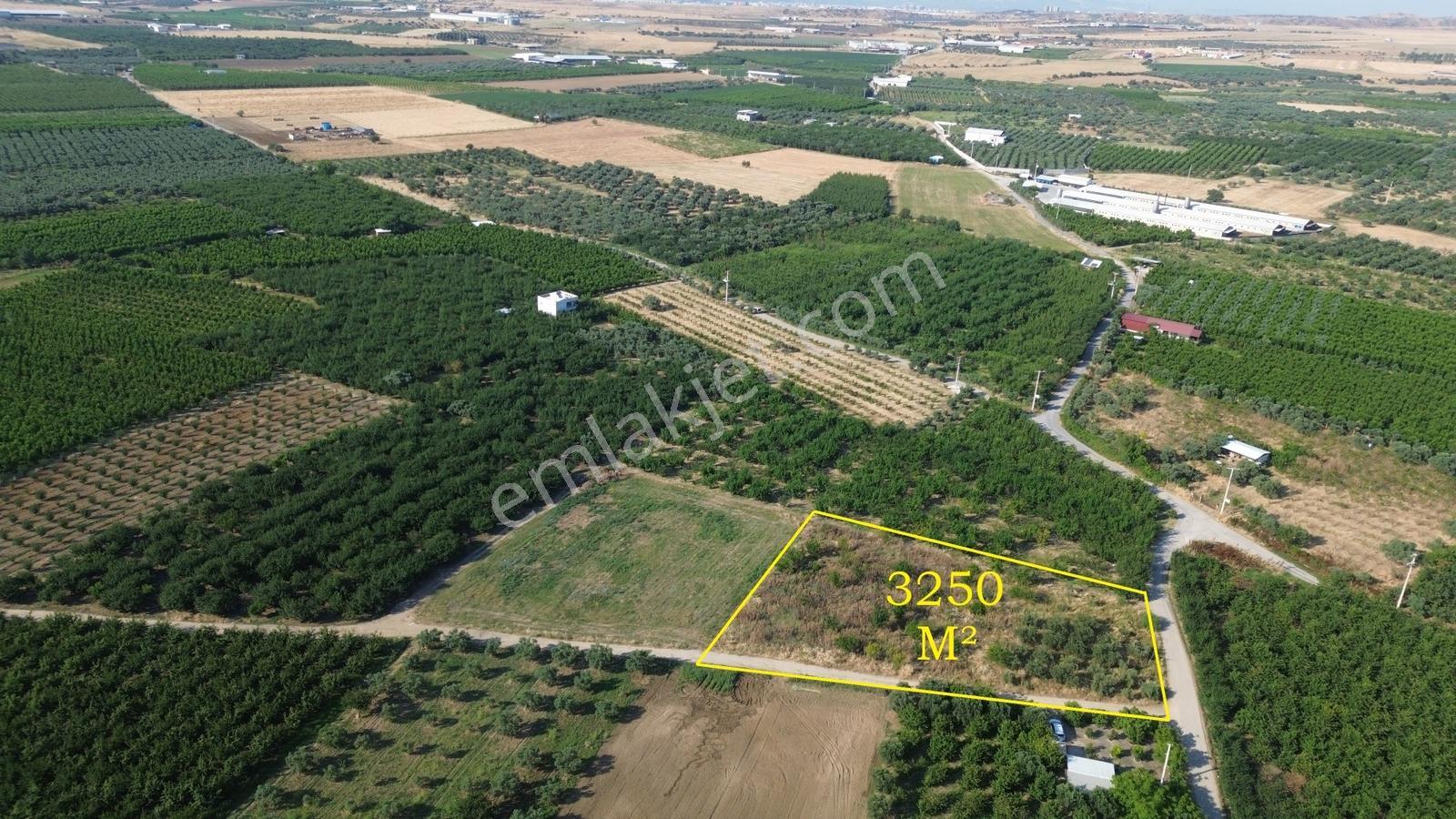 Erz'den Bağyurdun'da Yol Cepheli Tapulu Satılık Tarım Arazisi - Görsel 6