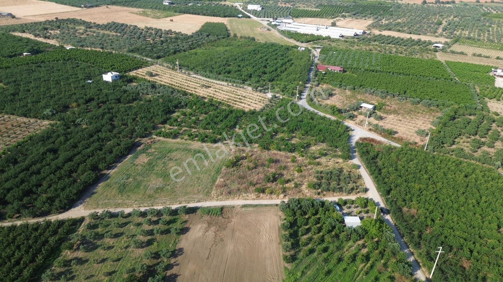 Erz'den Bağyurdun'da Yol Cepheli Tapulu Satılık Tarım Arazisi - Görsel 4