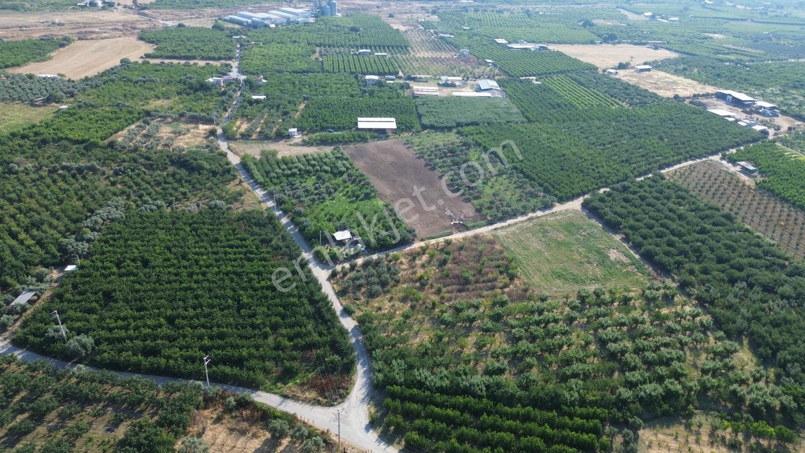 Erz'den Bağyurdun'da Yol Cepheli Tapulu Satılık Tarım Arazisi - Görsel 5