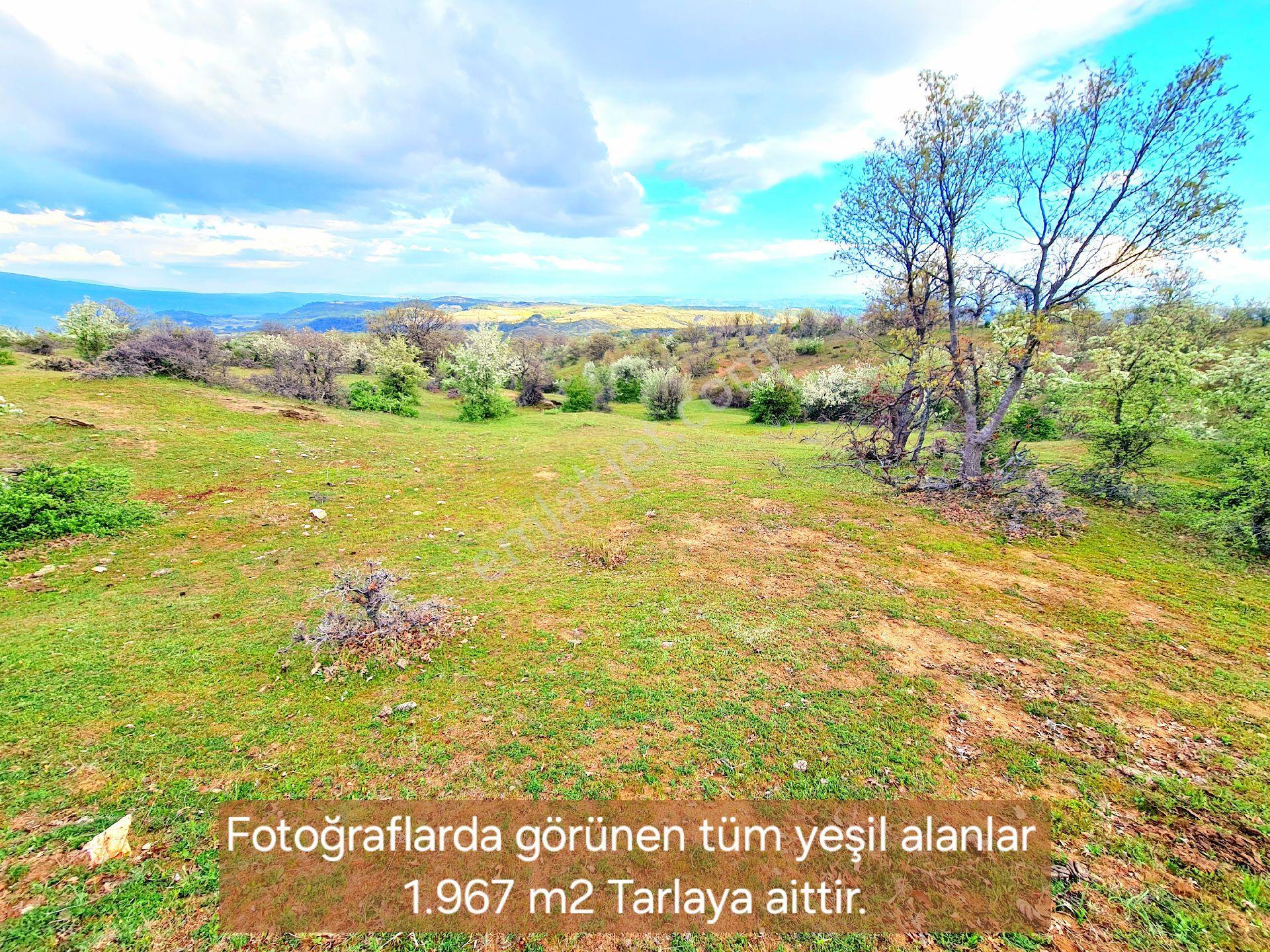 Manisa Demirci Bayramşah 1967 M2 Köye 500m Köy Manzaralı Kupon Açıklamada Tapuda Buluşuyoruz - Görsel 20