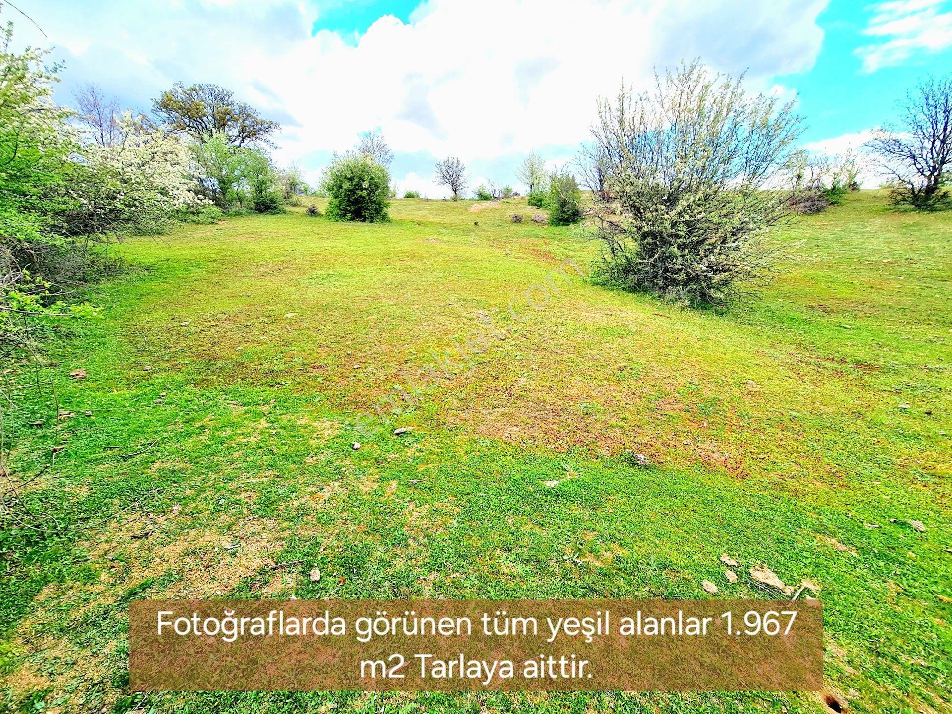 Manisa Demirci Bayramşah 1967 M2 Köye 500m Köy Manzaralı Kupon Açıklamada Tapuda Buluşuyoruz - Görsel 7
