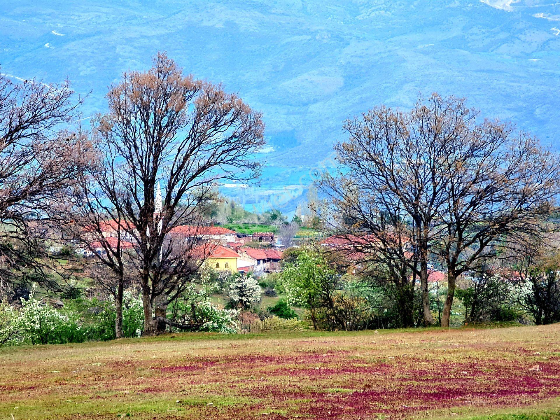 Manisa Demirci Bayramşah 1967 M2 Köye 500m Köy Manzaralı Kupon Açıklamada Tapuda Buluşuyoruz