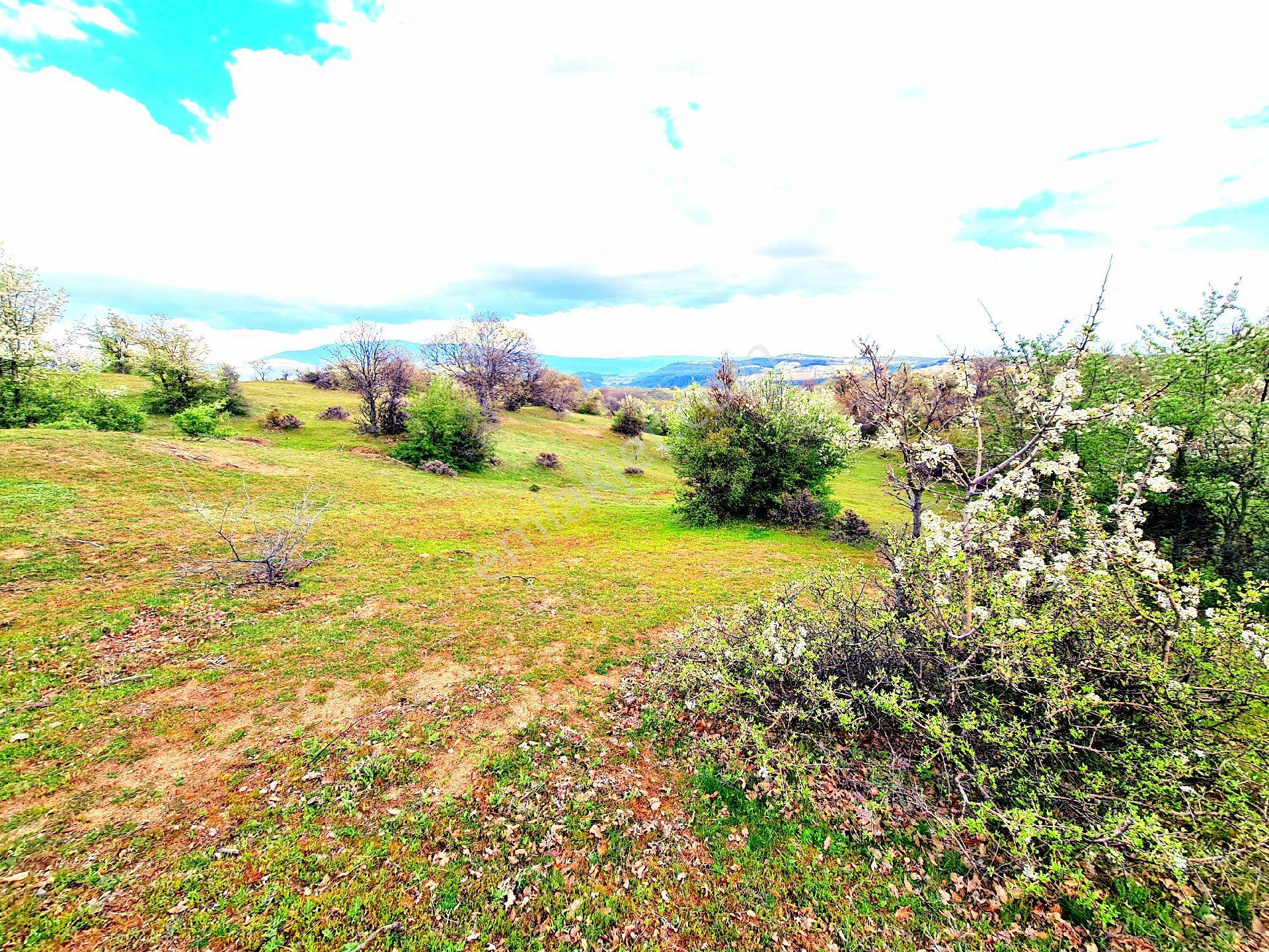 Manisa Demirci Bayramşah 1967 M2 Köye 500m Köy Manzaralı Kupon Açıklamada Tapuda Buluşuyoruz - Görsel 16