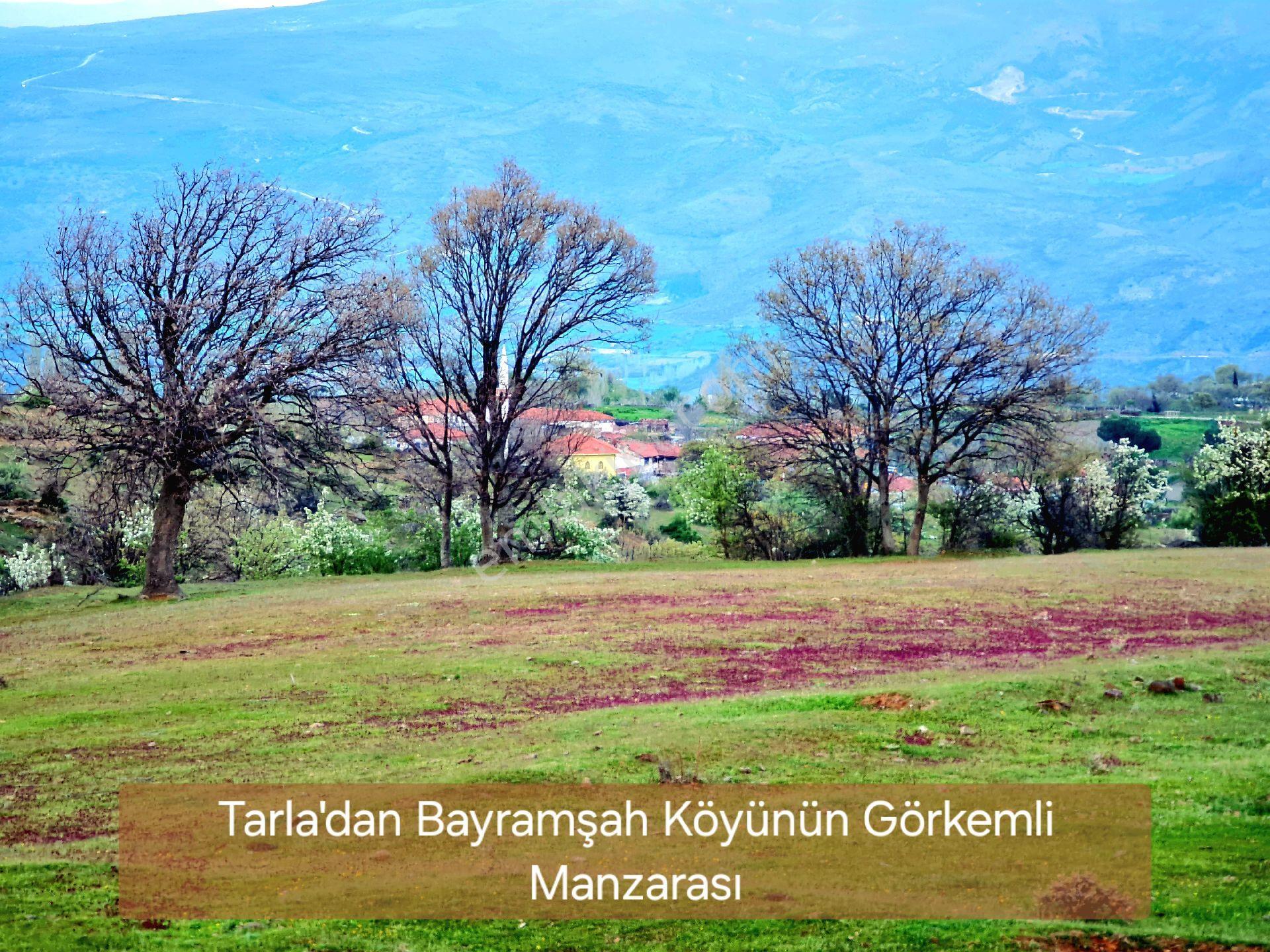 Manisa Demirci Bayramşah 1967 M2 Köye 500m Köy Manzaralı Kupon Açıklamada Tapuda Buluşuyoruz - Görsel 11