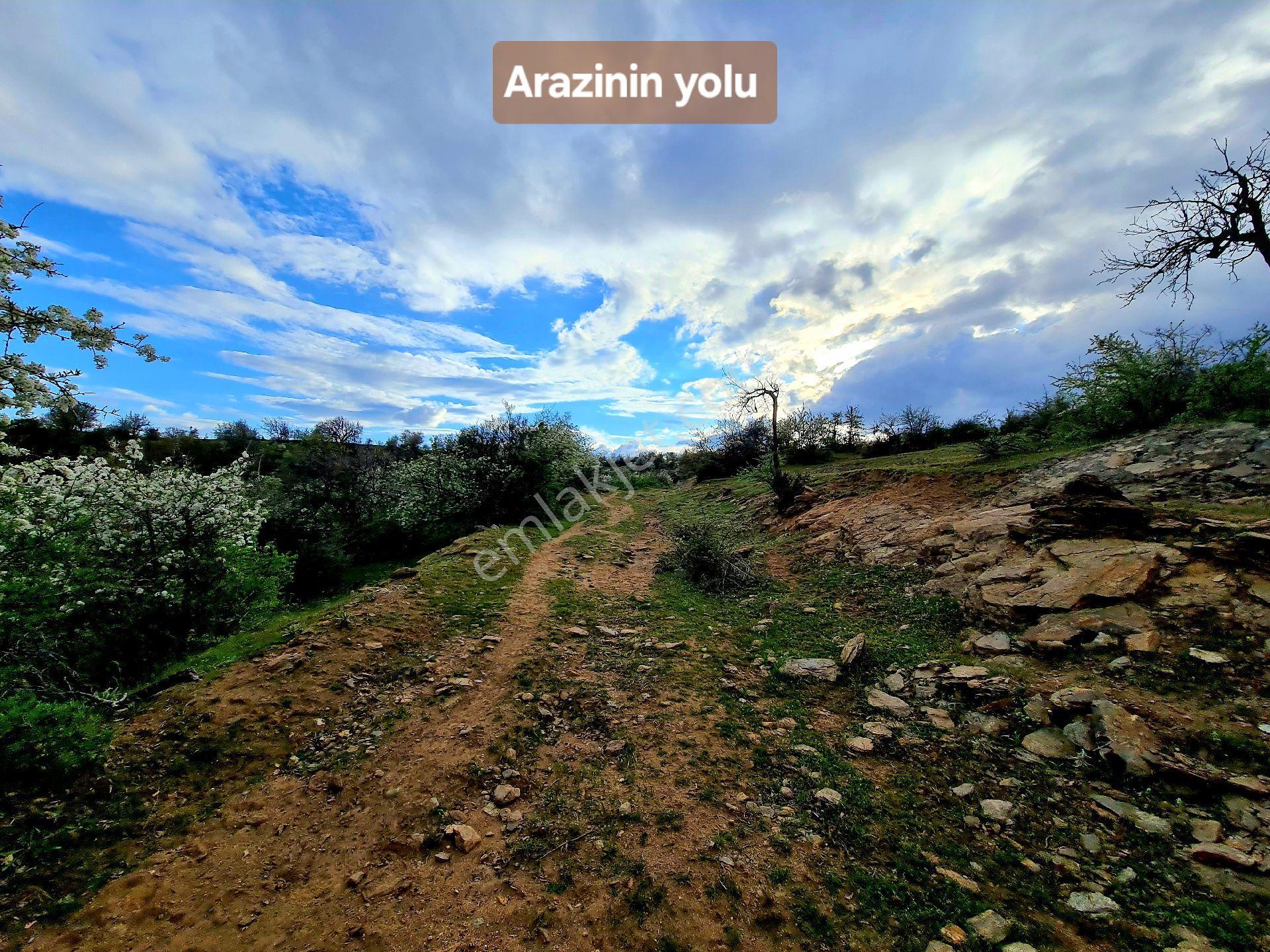 Manisa Demirci Bayramşah 1967 M2 Köye 500m Köy Manzaralı Kupon Açıklamada Tapuda Buluşuyoruz - Görsel 6