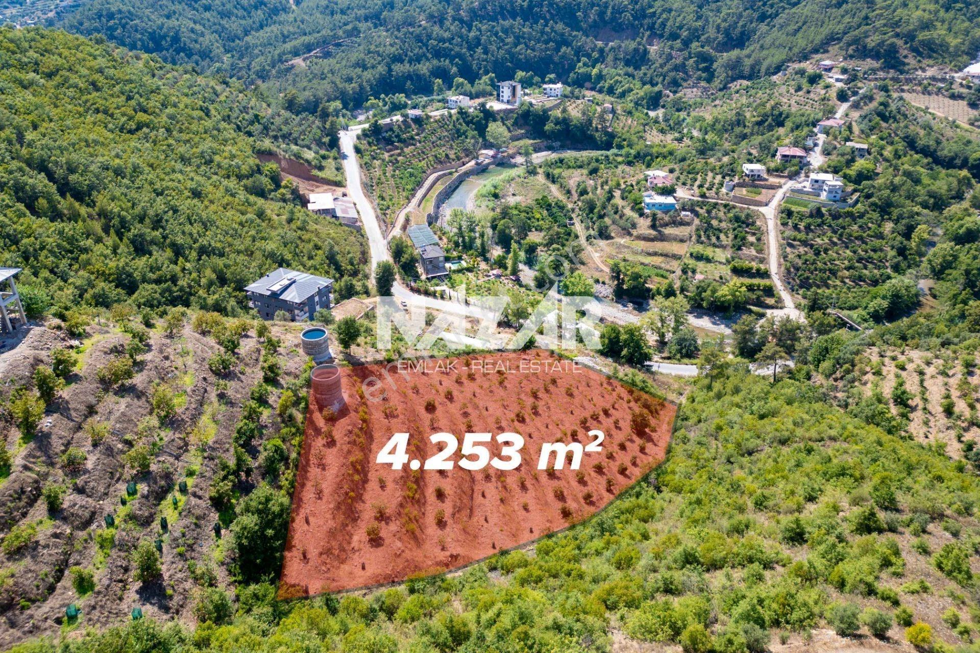 Alanya Çamlıca’da 4.253 M² Satılık Tarla - Avokado Bahçesi - Görsel 4