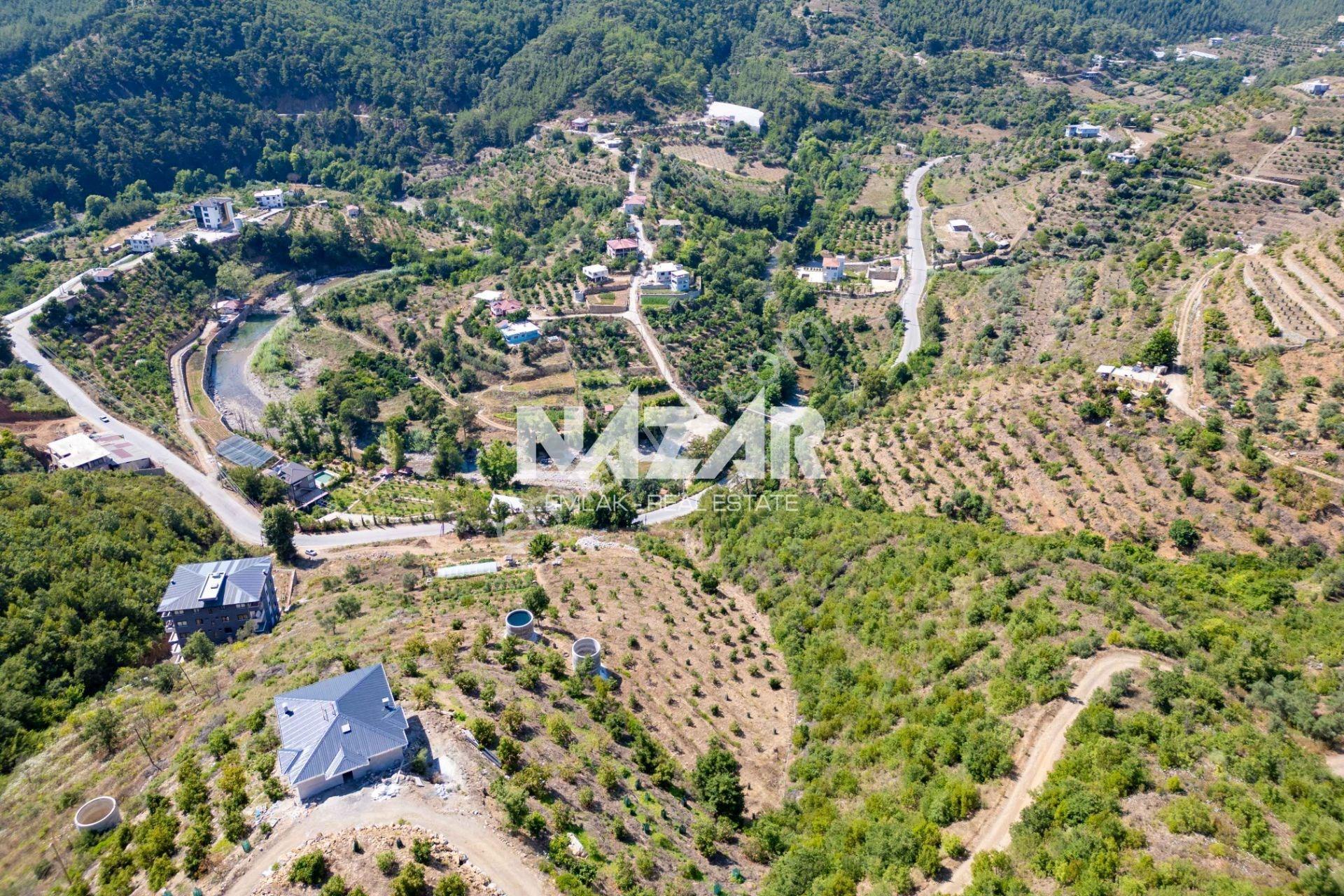 Alanya Çamlıca’da 4.253 M² Satılık Tarla - Avokado Bahçesi - Görsel 9