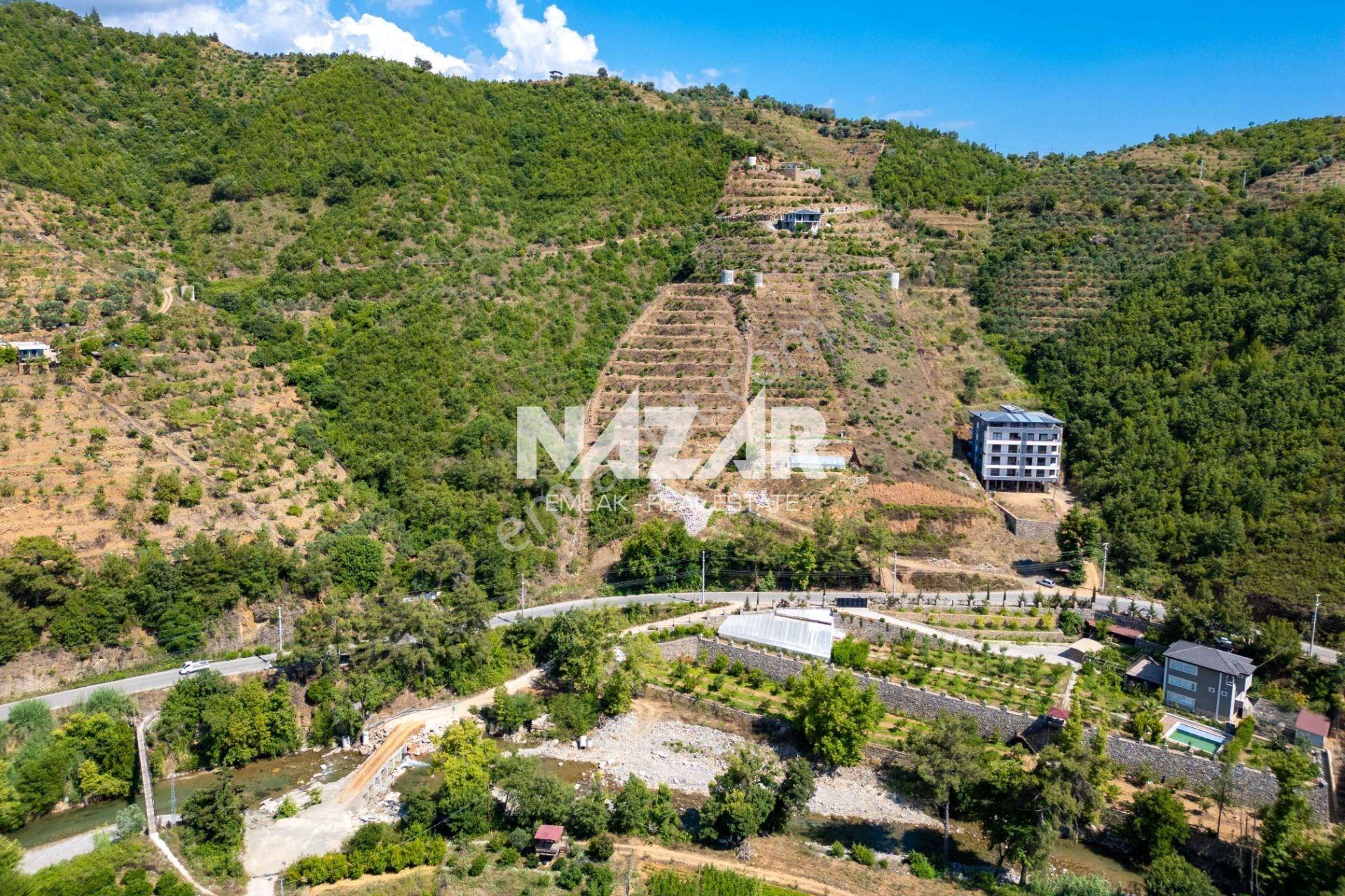 Alanya Çamlıca’da 4.253 M² Satılık Tarla - Avokado Bahçesi - Görsel 7