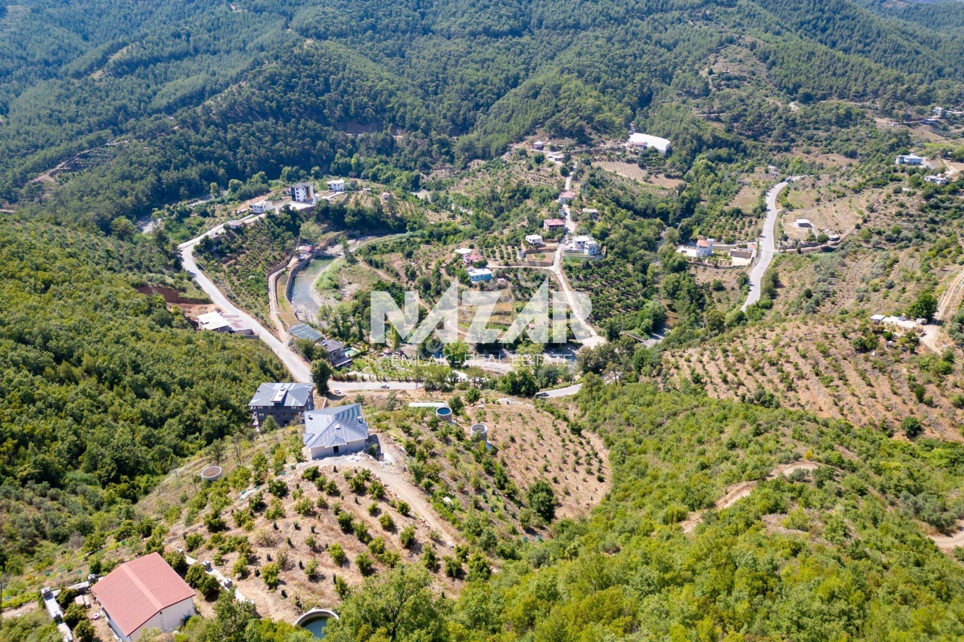 Alanya Çamlıca’da 4.253 M² Satılık Tarla - Avokado Bahçesi - Görsel 10
