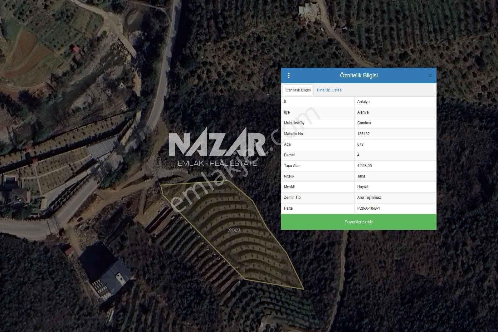 Alanya Çamlıca’da 4.253 M² Satılık Tarla - Avokado Bahçesi - Görsel 18