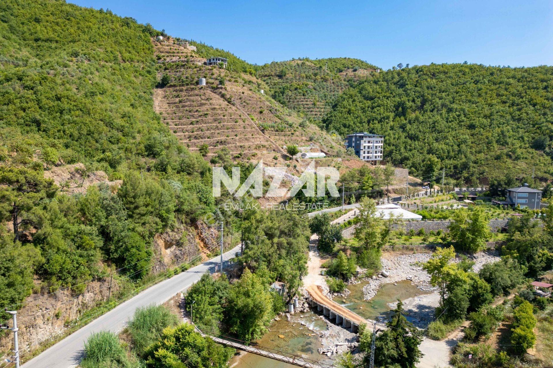 Alanya Çamlıca’da 4.253 M² Satılık Tarla - Avokado Bahçesi