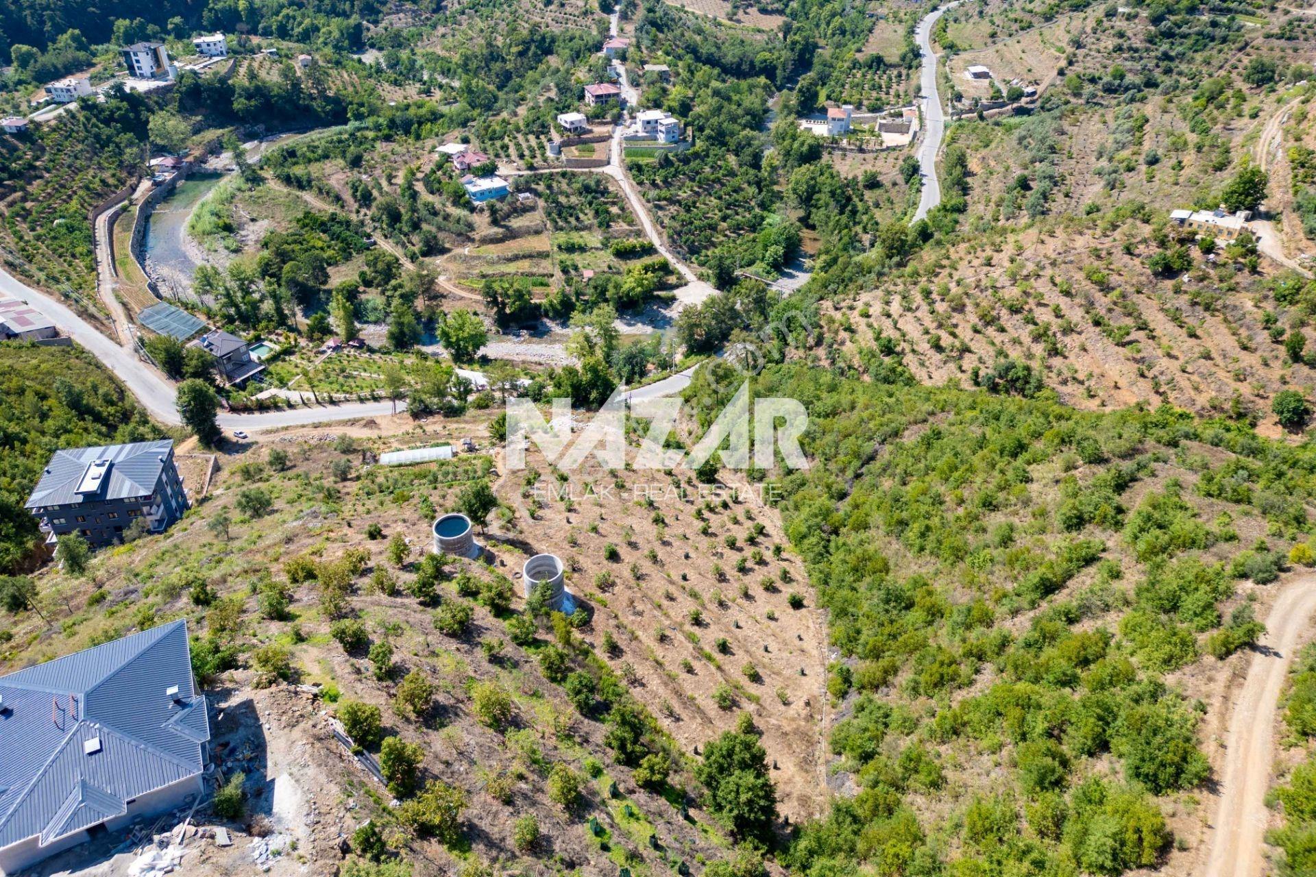 Alanya Çamlıca’da 4.253 M² Satılık Tarla - Avokado Bahçesi - Görsel 8