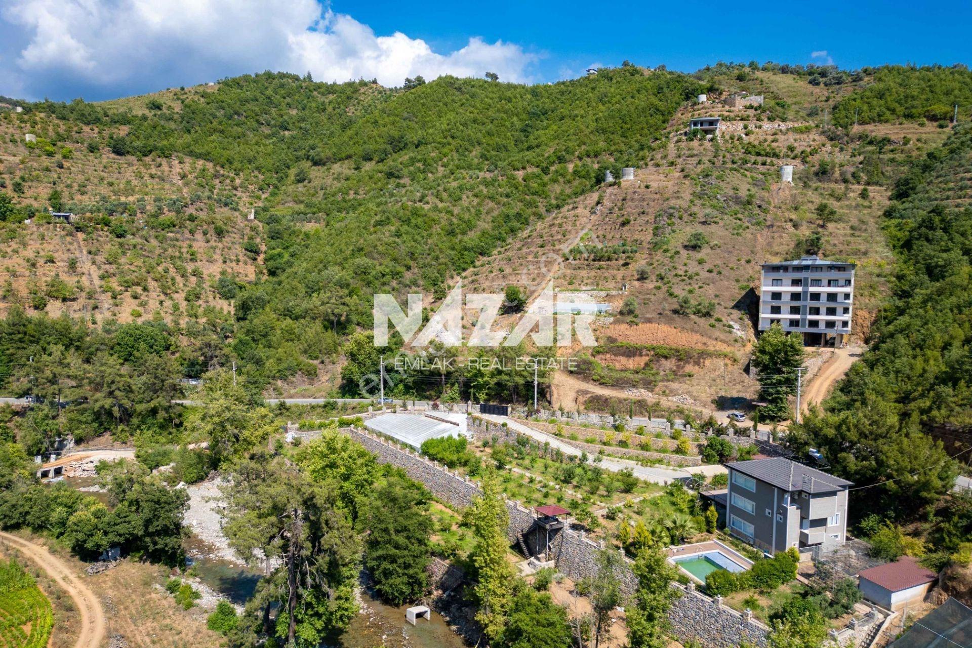 Alanya Çamlıca’da 4.253 M² Satılık Tarla - Avokado Bahçesi - Görsel 14