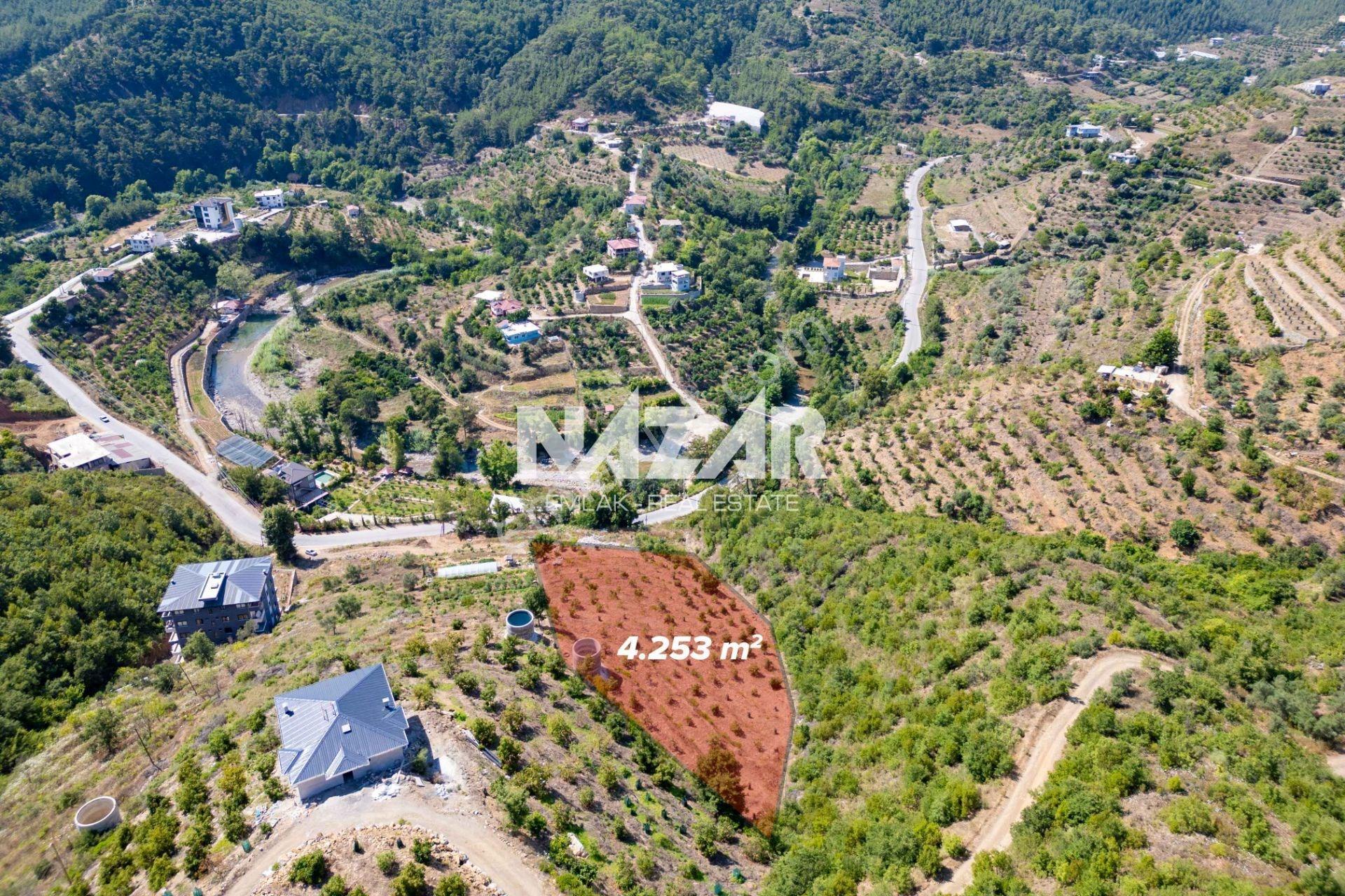 Alanya Çamlıca’da 4.253 M² Satılık Tarla - Avokado Bahçesi - Görsel 3