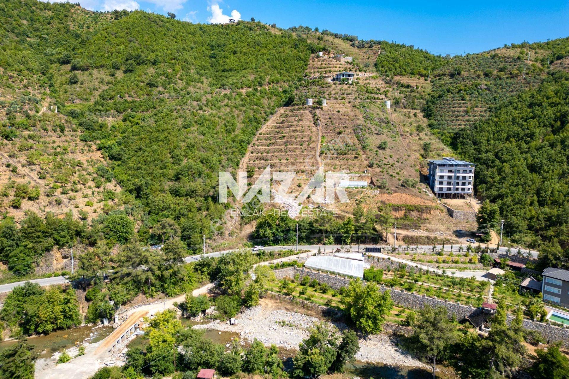 Alanya Çamlıca’da 4.253 M² Satılık Tarla - Avokado Bahçesi - Görsel 6