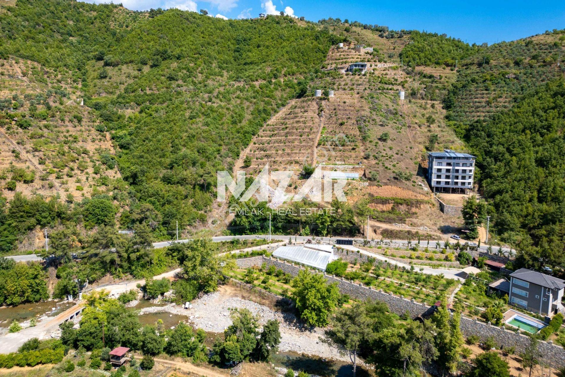 Alanya Çamlıca’da 4.253 M² Satılık Tarla - Avokado Bahçesi - Görsel 5
