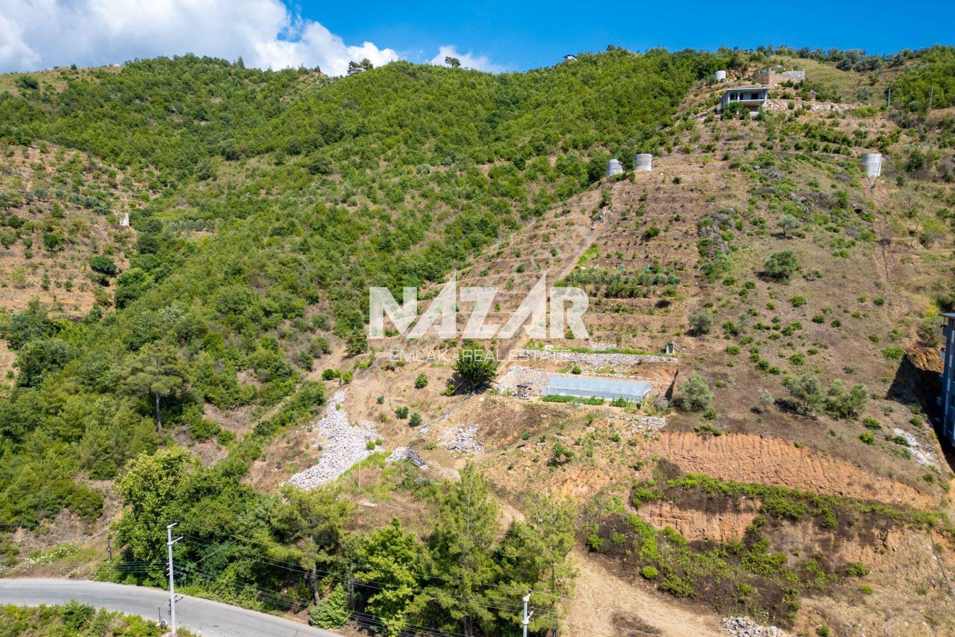 Alanya Çamlıca’da 4.253 M² Satılık Tarla - Avokado Bahçesi - Görsel 17