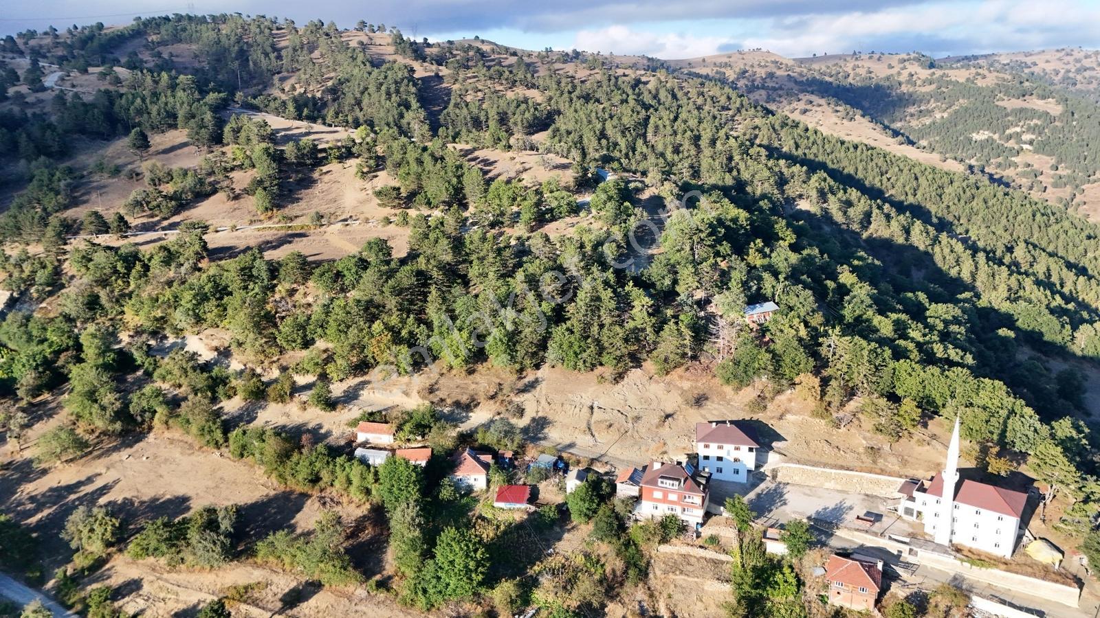 Sinop/durağan Kirencik Mahallesinde 612 M2 Ham Toprak - Görsel 6