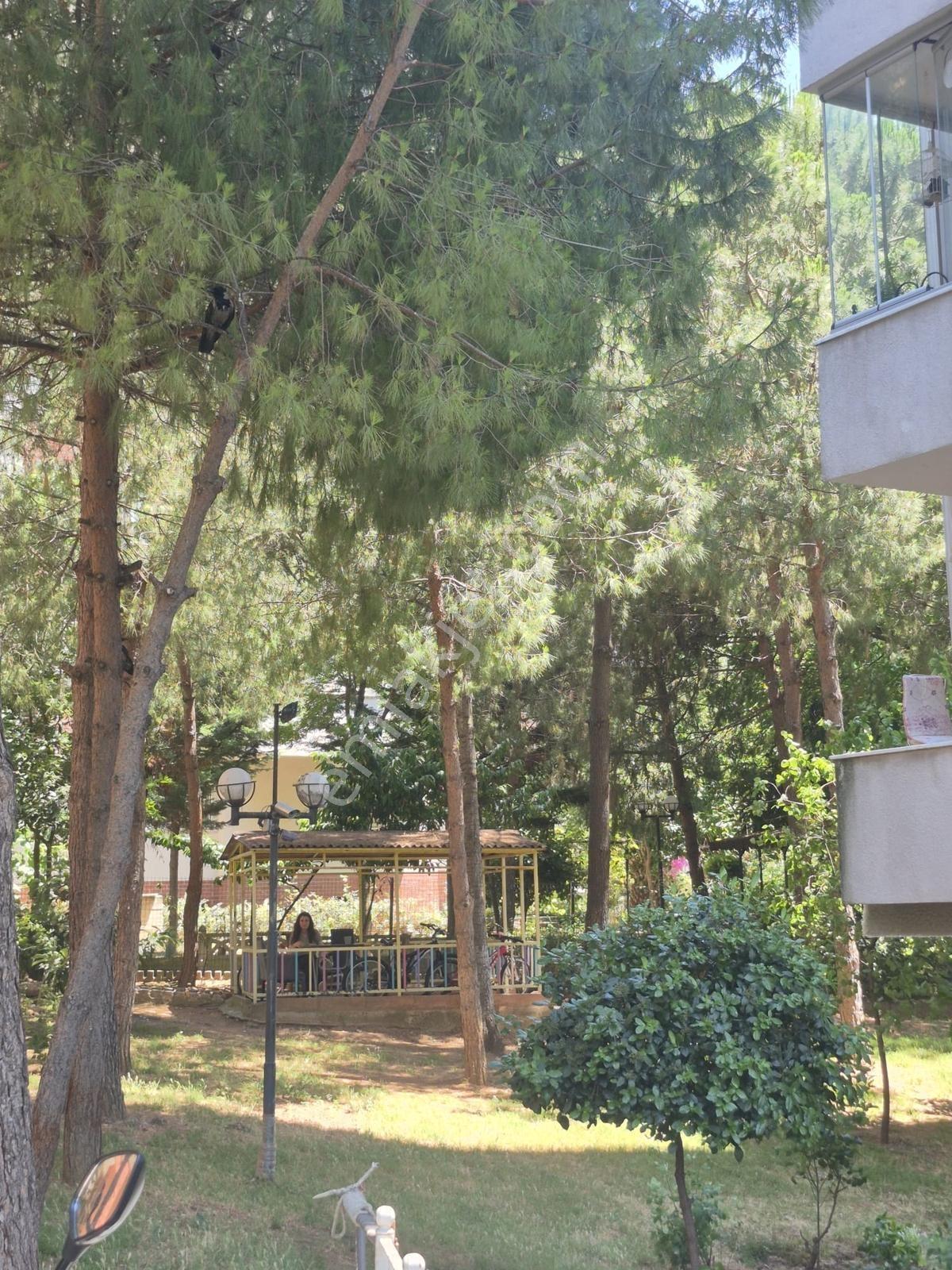 Maltepe Doğuşkent'te İçi Yapılı Fırsat Daire - Görsel 9