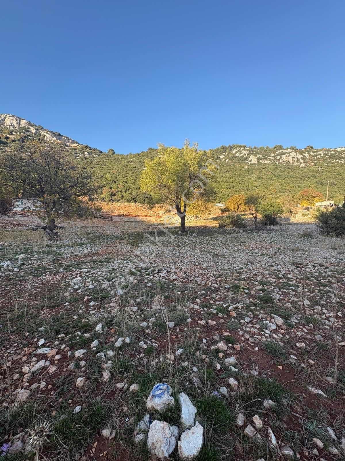 Kaş Gökçeören'de 2510 M2 Satılık Tarla