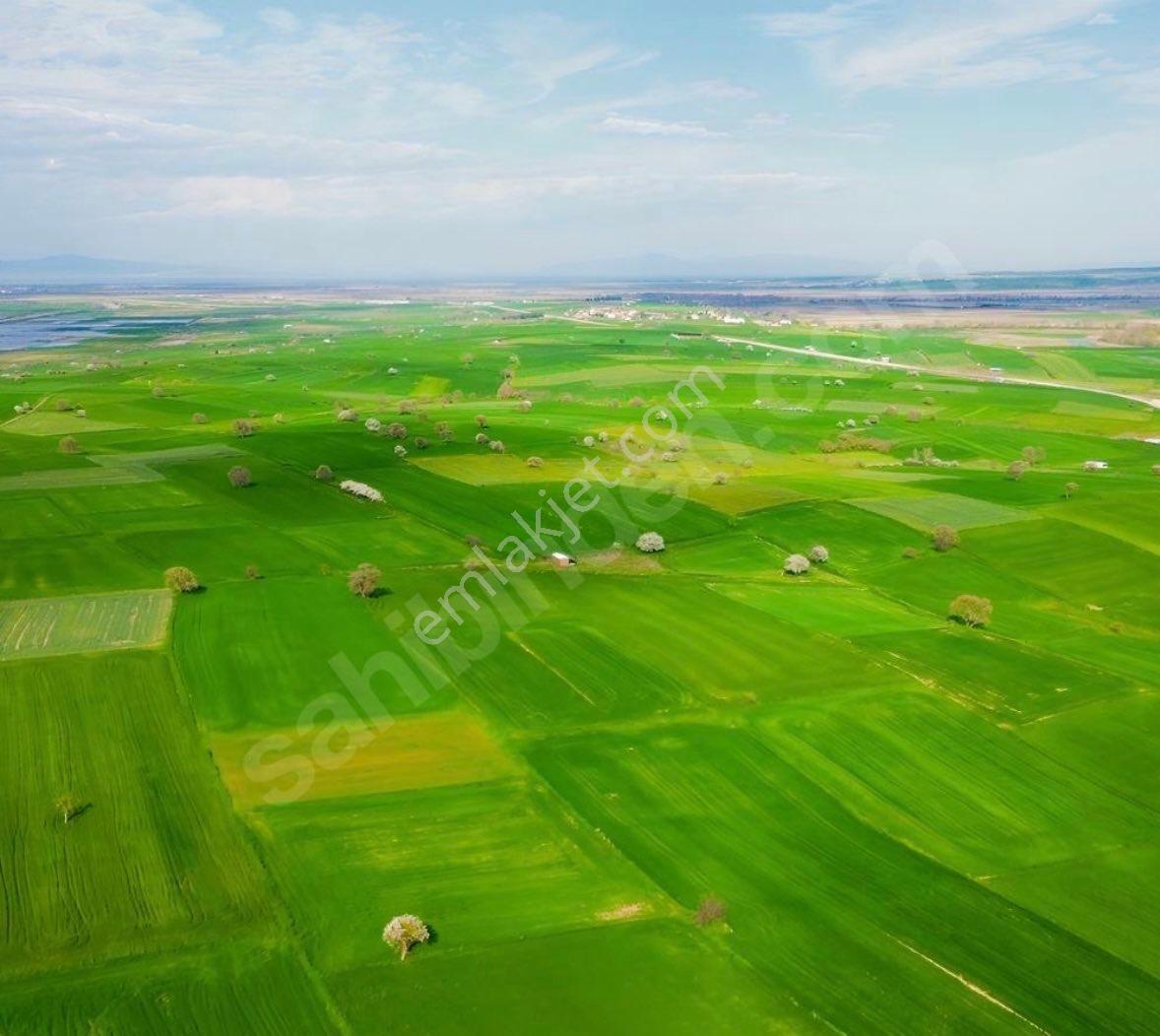 Balcity - Çanakkale | Biga Güleç Mahallesinde 4 Dönüm Yatırım Fırsatı - Görsel 7