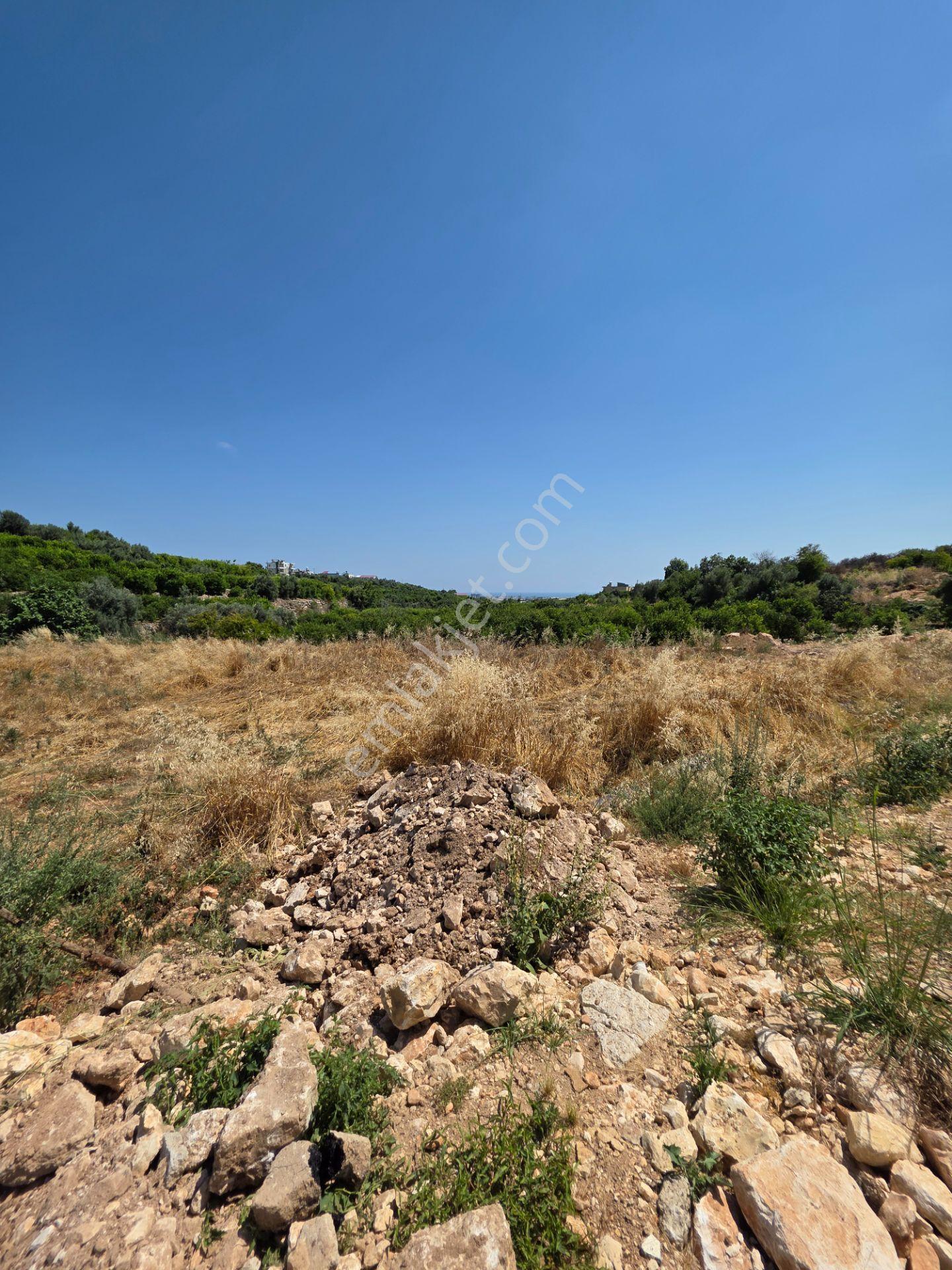 Erdemli Barbaros Mah. Satılık 1350 M² Deniz Manzaralı Arsa - Görsel 7