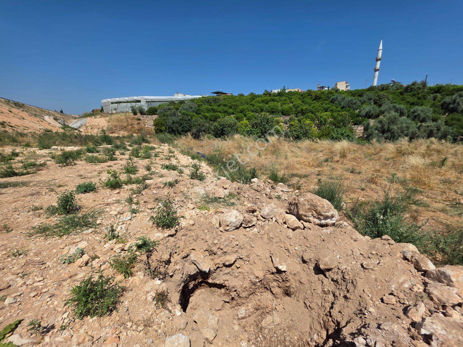 Erdemli Barbaros Mah. Satılık 1350 M² Deniz Manzaralı Arsa - Görsel 14