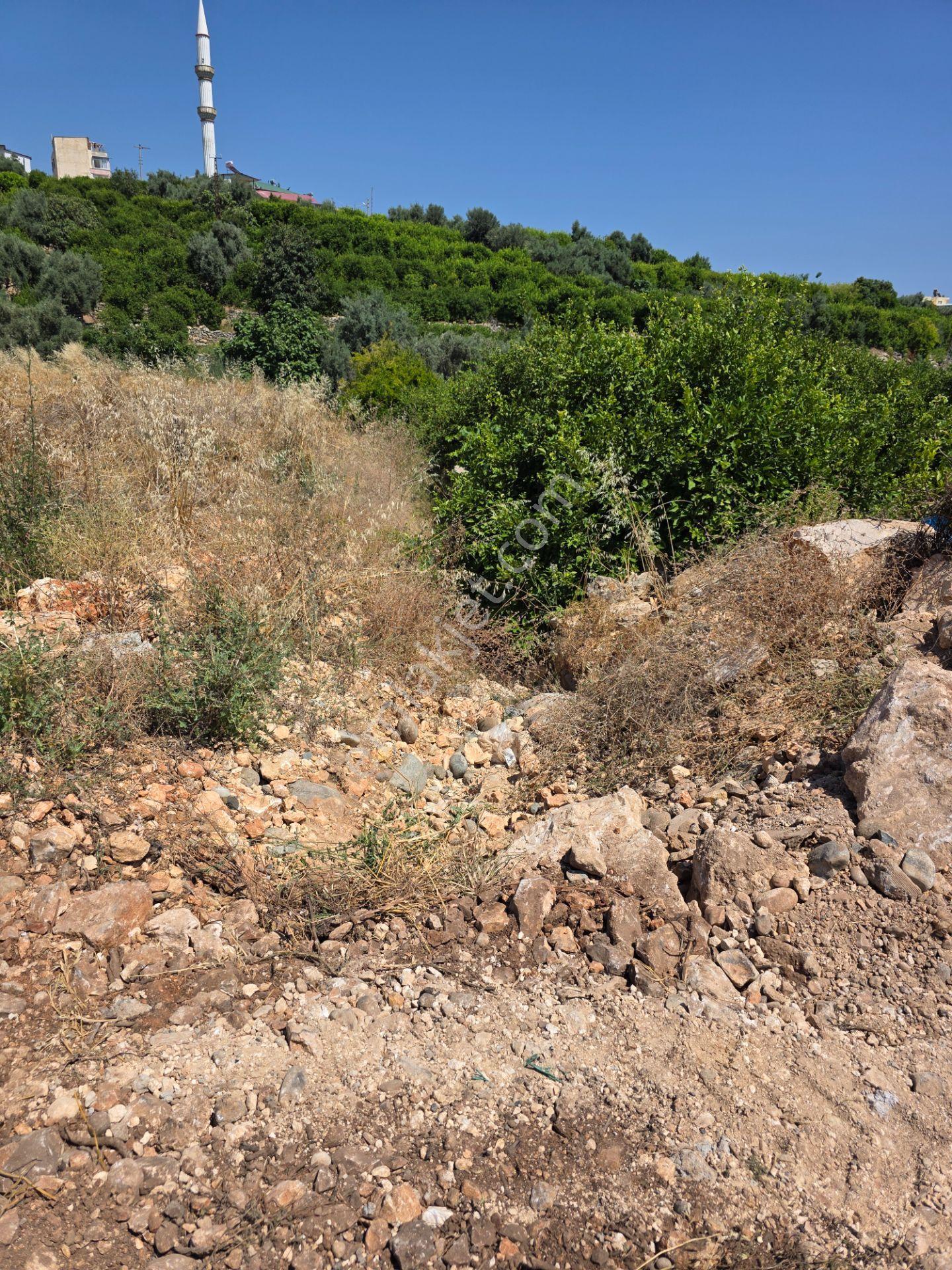 Erdemli Barbaros Mah. Satılık 1350 M² Deniz Manzaralı Arsa - Görsel 17