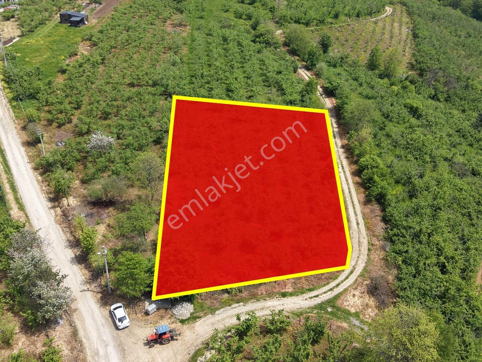 Emlakevim Den Hendek Gündoğan Mh Satılık 1000 M2 Arsa - Görsel 3