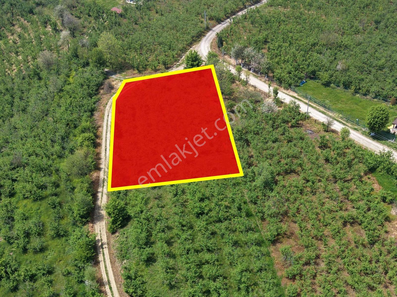 Emlakevim Den Hendek Gündoğan Mh Satılık 1000 M2 Arsa - Görsel 8