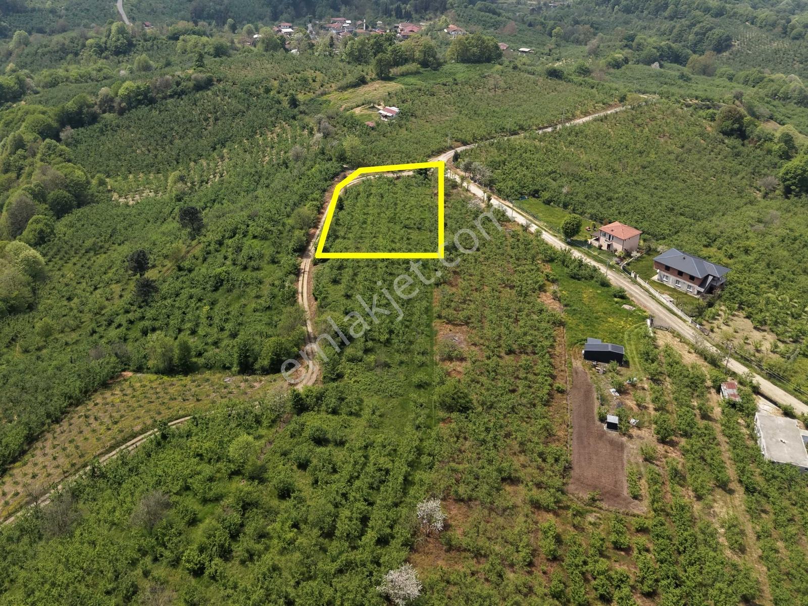 Emlakevim Den Hendek Gündoğan Mh Satılık 1000 M2 Arsa - Görsel 16