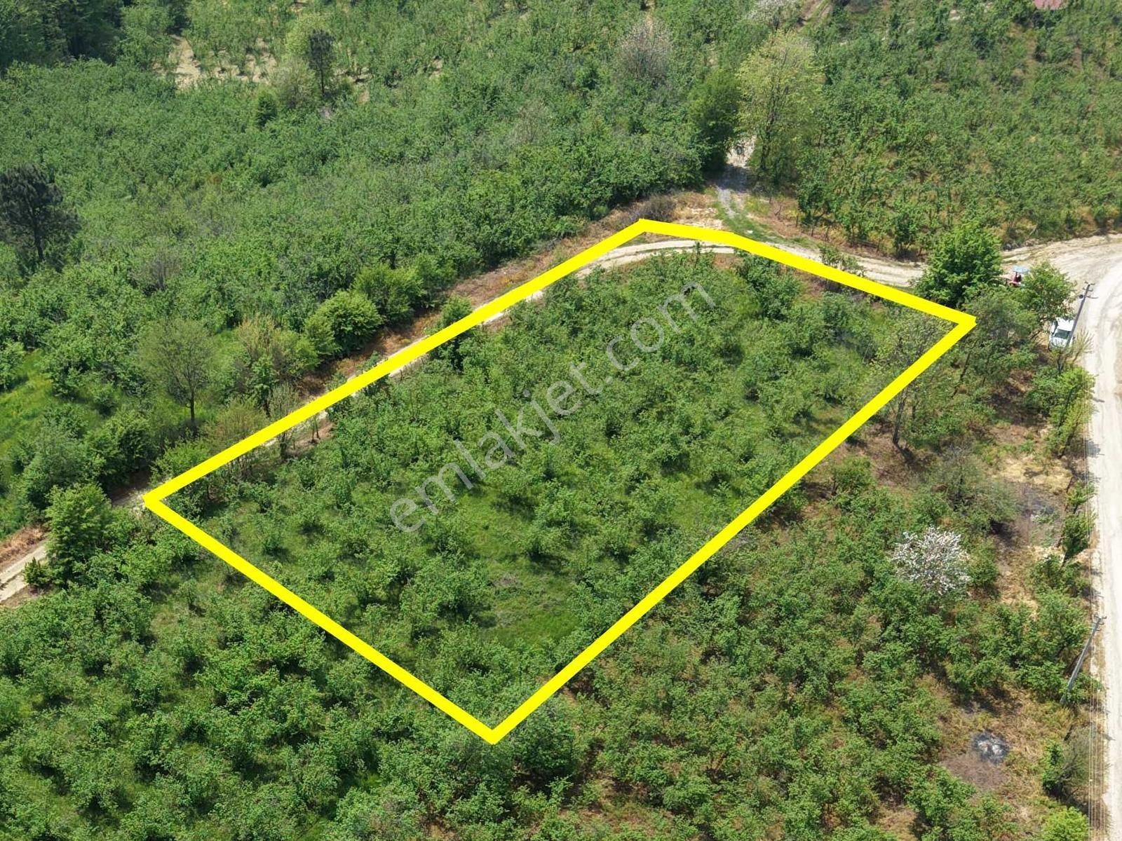 Emlakevim Den Hendek Gündoğan Mh Satılık 1000 M2 Arsa - Görsel 7