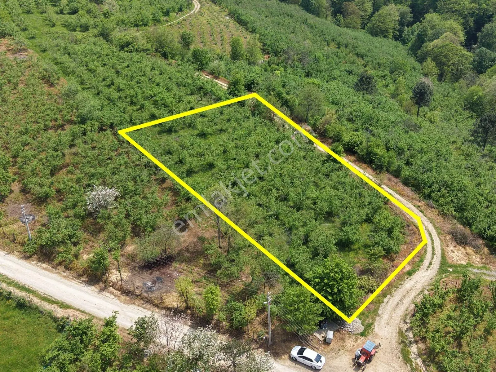 Emlakevim Den Hendek Gündoğan Mh Satılık 1000 M2 Arsa - Görsel 4