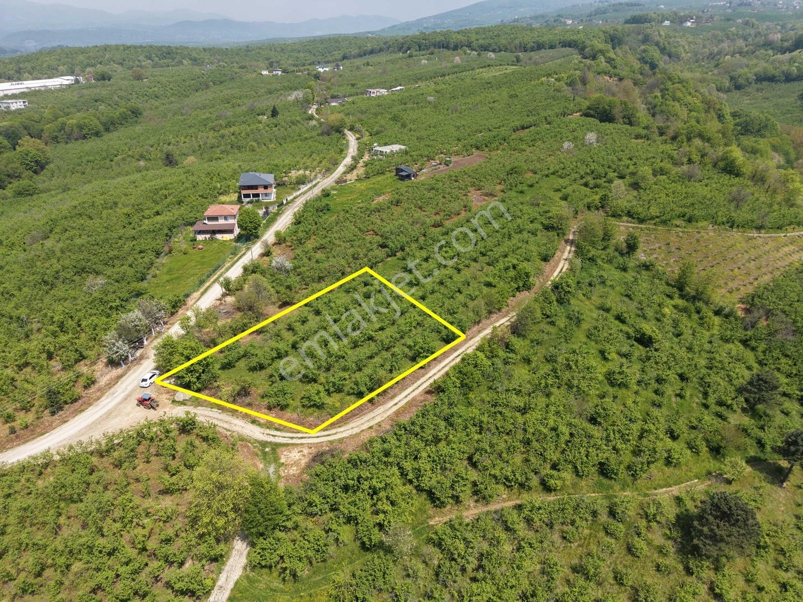 Emlakevim Den Hendek Gündoğan Mh Satılık 1000 M2 Arsa - Görsel 11