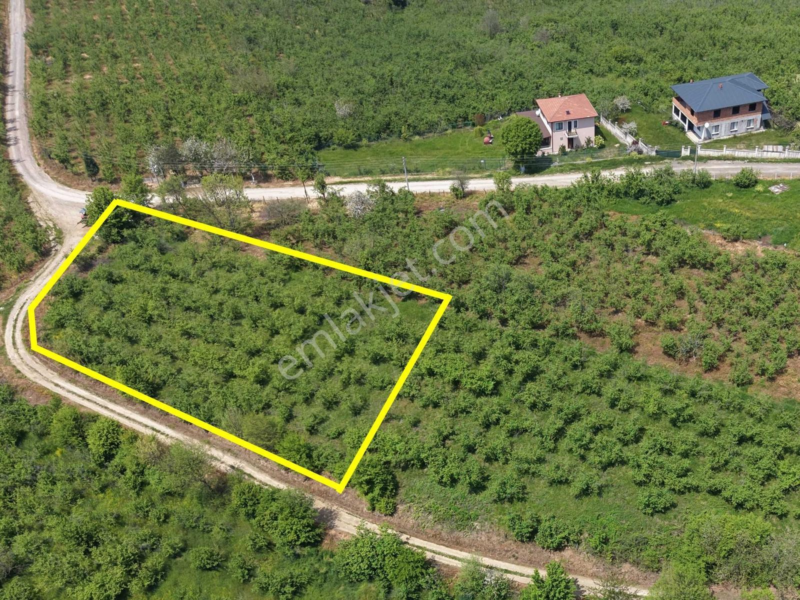 Emlakevim Den Hendek Gündoğan Mh Satılık 1000 M2 Arsa - Görsel 9