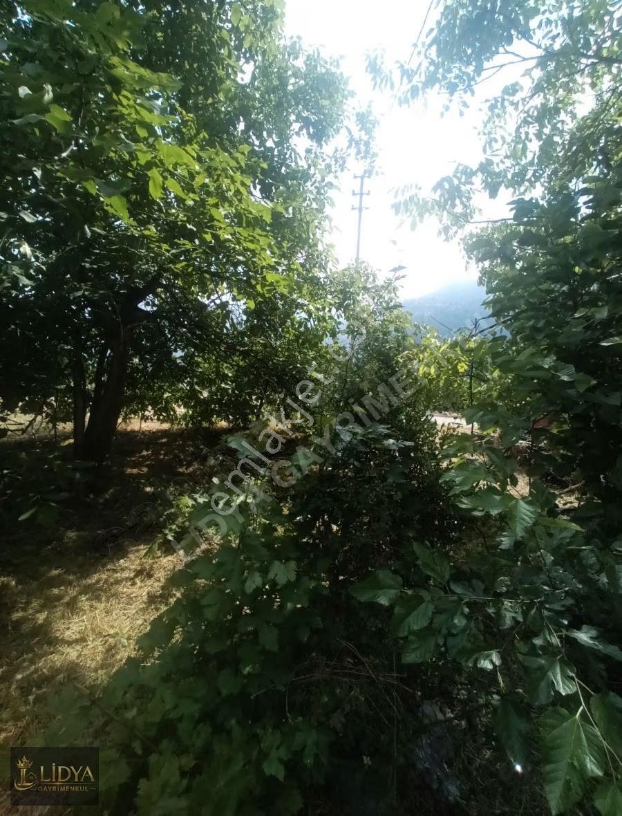 Çamlı Kargır Ev Ve Arsası - Görsel 23