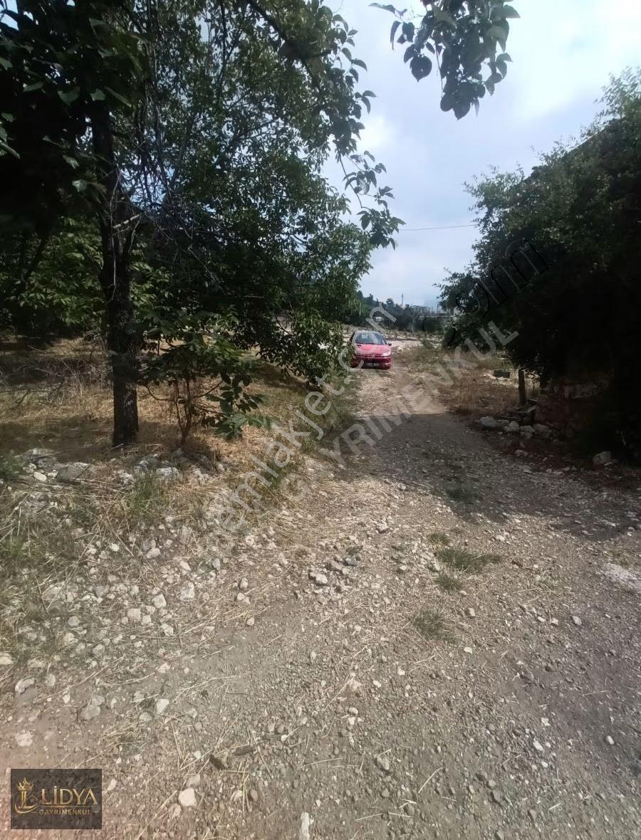 Çamlı Kargır Ev Ve Arsası - Görsel 5