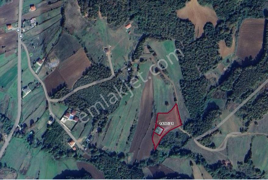 Yetiş Al Dan Şile Çengilli De Doğa İçinde 4.550 M2 Satılık Arazi - Görsel 7