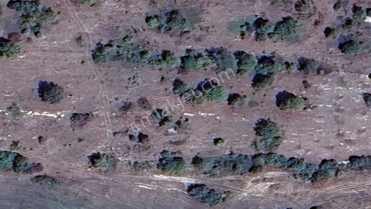 Kandıra Tatarahmet Yatırımlık Tarla - Görsel 2