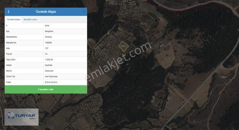 Örlemişte Şakrana 9 Km Mesafede Satılık 1638 M2 Zeytinlik - Görsel 6